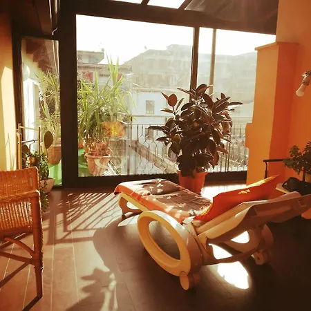 Oasi Di